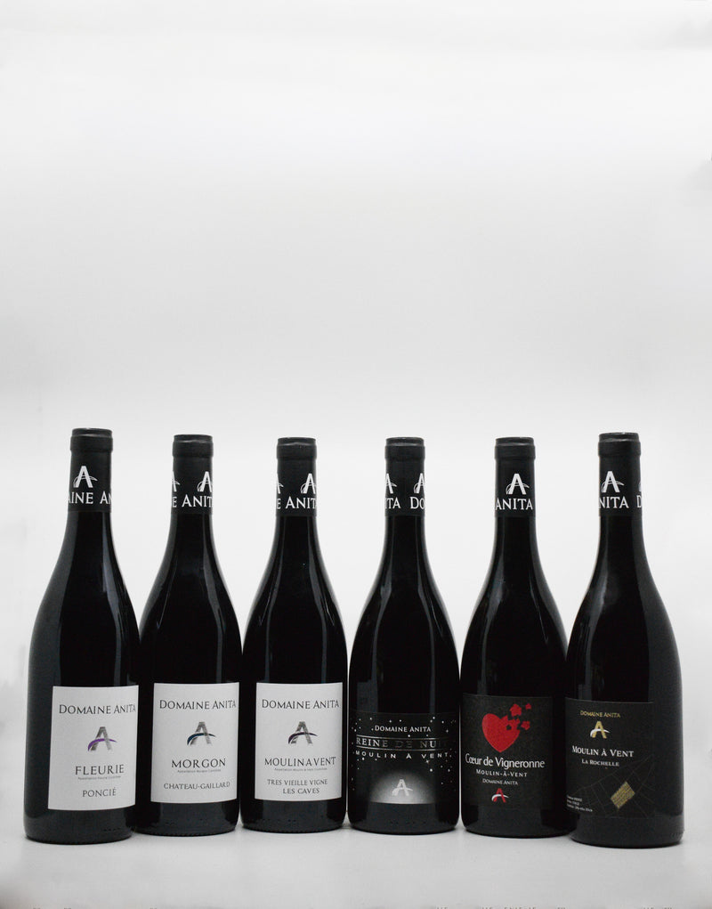 A Tour of Domaine Anita 2023