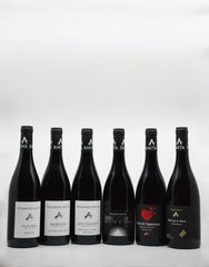 A Tour of Domaine Anita 2023