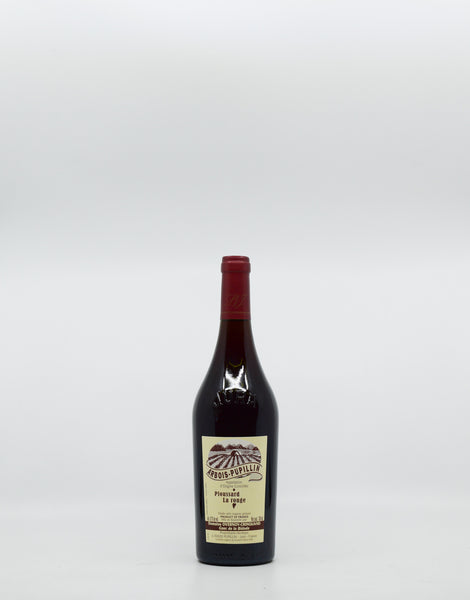 ワイン ARBOIS PUPILLIN PLOUSSARD 2020 2020 Maison Pierre Overnoy, Poulsard, Arbois Pupillin